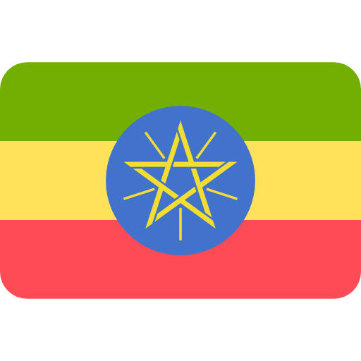 Tłumacz przysięgły języka amharskiego, tłumaczenie amharskich dokumentów