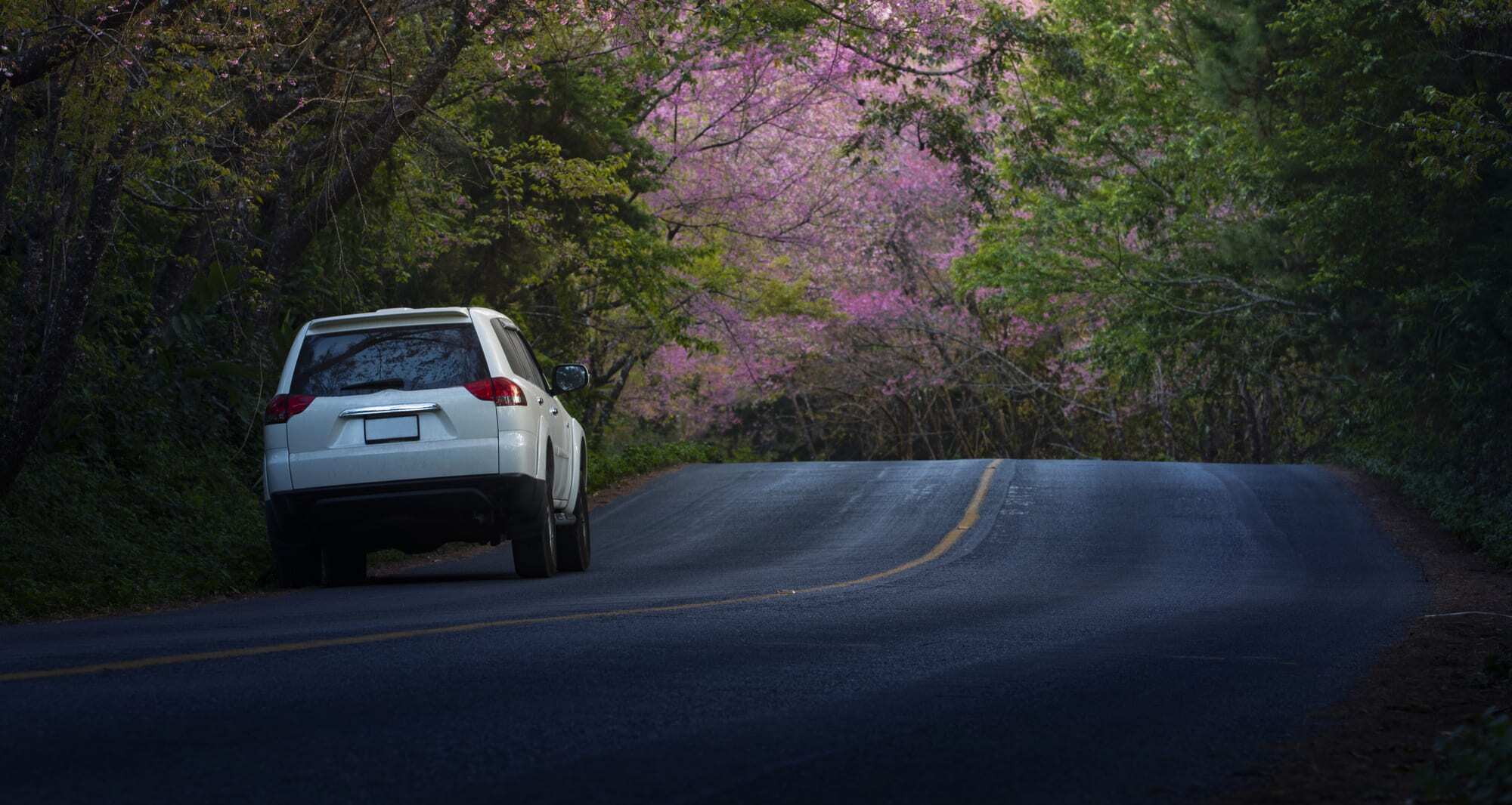 import aut z korei, dokumenty samochodowe z korei